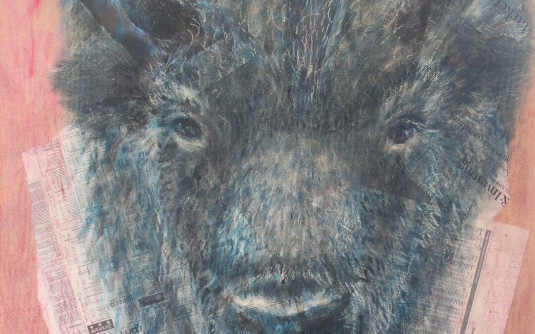 Ausstellung “Tier sind Wir”